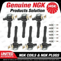 NGK 6 Spark Plugs + 6 Igniton Coils for BMW 3 5 Series E46 E39 X5 E53 Z3 E36