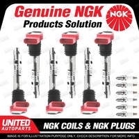 NGK 6 Spark Plugs + 6 Igniton Coils for Audi A4 B6 3.0L V6 2001-2006