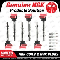 NGK 6 Spark Plugs + 6 Igniton Coils for Audi A4 B7 3.2L V6 2005-2007