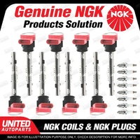 NGK 8 Spark Plugs + 8 Igniton Coils for Audi Q7 S5 8T 4.2L V8 06-12