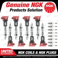 NGK 8 Spark Plugs + 8 Igniton Coils for Audi S4 B6 B7 4.2L V8 2003-2008