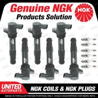 NGK 6 Spark Plugs + 6 Igniton Coils for Rover 75 J84 2.5L V6 01-05