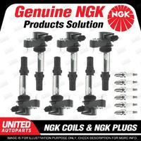 NGK 6 Spark Plugs + 6 Igniton Coils for Holden Crewman VZ Statesman WL 3.6L V6