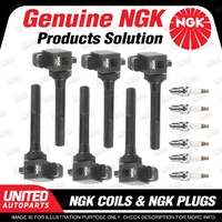 NGK 6 Spark Plugs + 6 Igniton Coils for Holden Rodeo RA TF R7 TF R9 V6