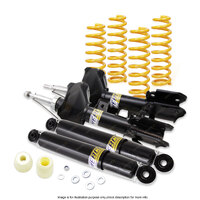 Front Rear Shock Absorbers Raised King Springs for Nissan Pathfinder R50 99-01