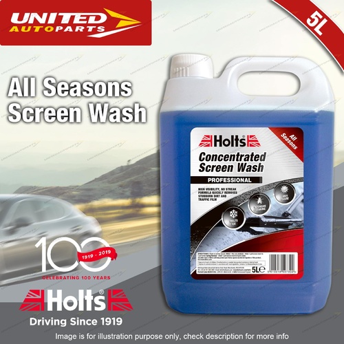 Holts All Seasons Concentrate Screen Wash 5L Melts ice Anti glare cleaning