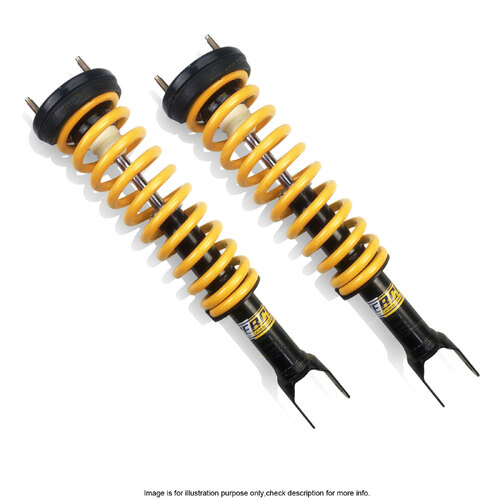 Front Raised Coil Spring Pre-Assembly Strut for FALCON BF MKII XR6 XR8 Sedan